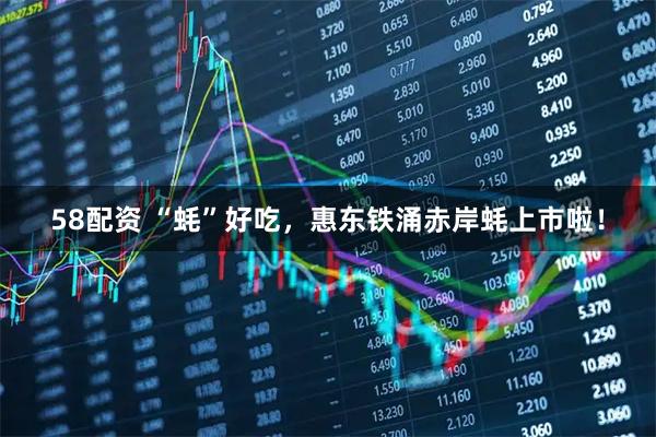 58配资 “蚝”好吃，惠东铁涌赤岸蚝上市啦！