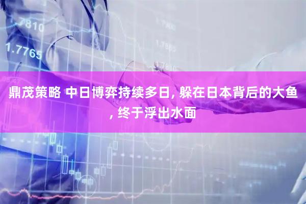 鼎茂策略 中日博弈持续多日, 躲在日本背后的大鱼, 终于浮出水面